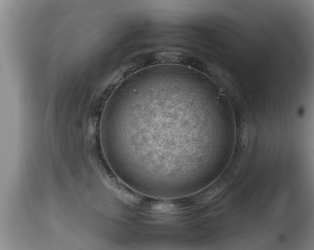 X0000112810759200908281507