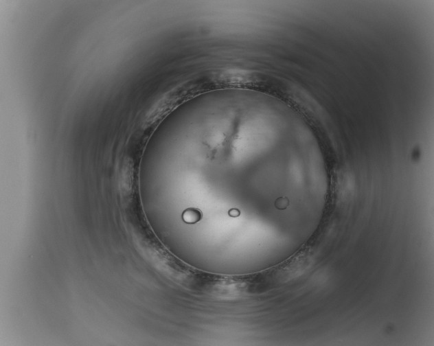 X0000112810760200908281507