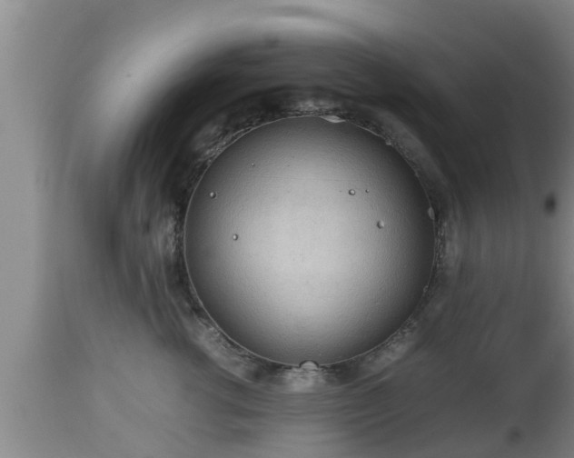X0000112810762200908281507