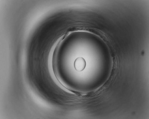 X0000112810764200908281507