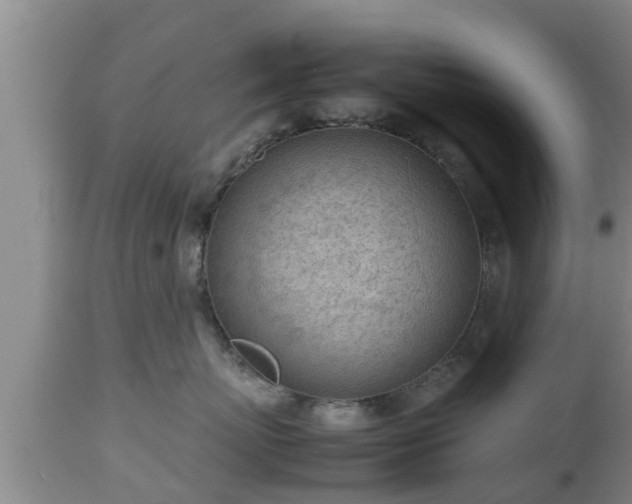 X0000112810767200908281507