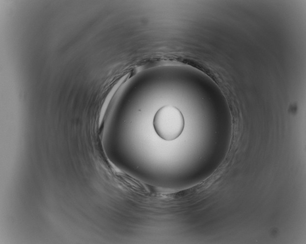 X0000112810768200908281507