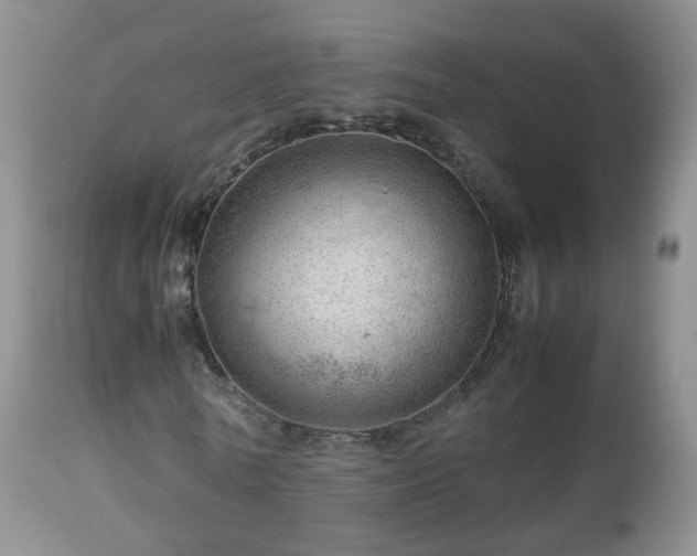 X0000112810770200908281506