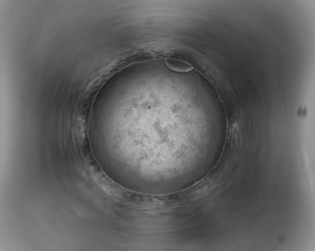 X0000112810772200908281506