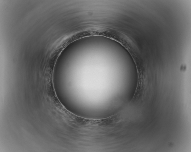 X0000112810773200908281506
