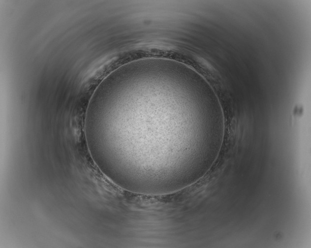 X0000112810774200908281506