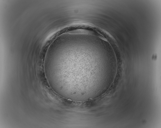 X0000112810775200908281506