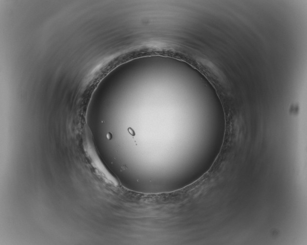 X0000112810776200908281506