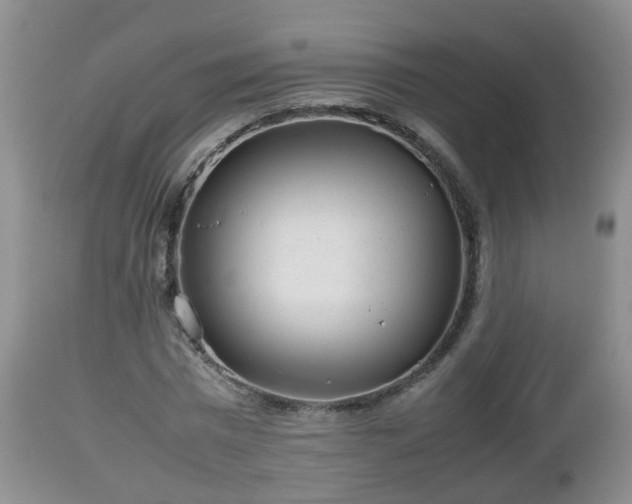 X0000112810777200908281506
