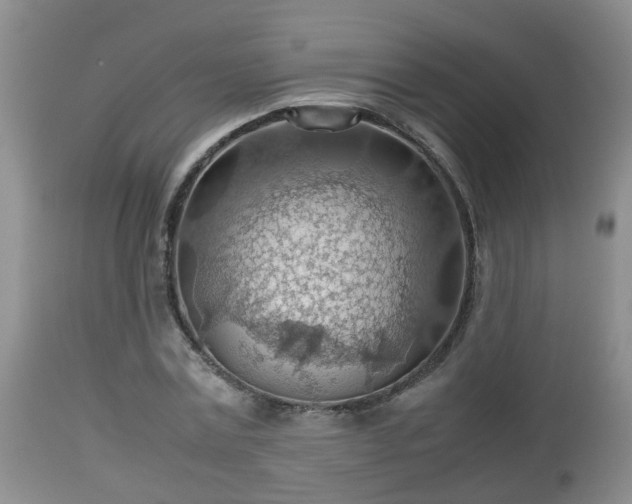 X0000112810779200908281506