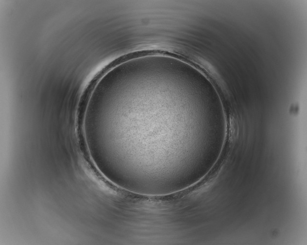X0000112810780200908281506