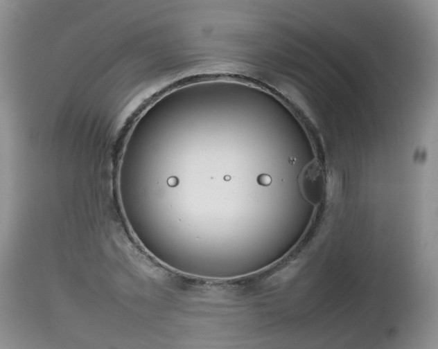 X0000112810781200908281506