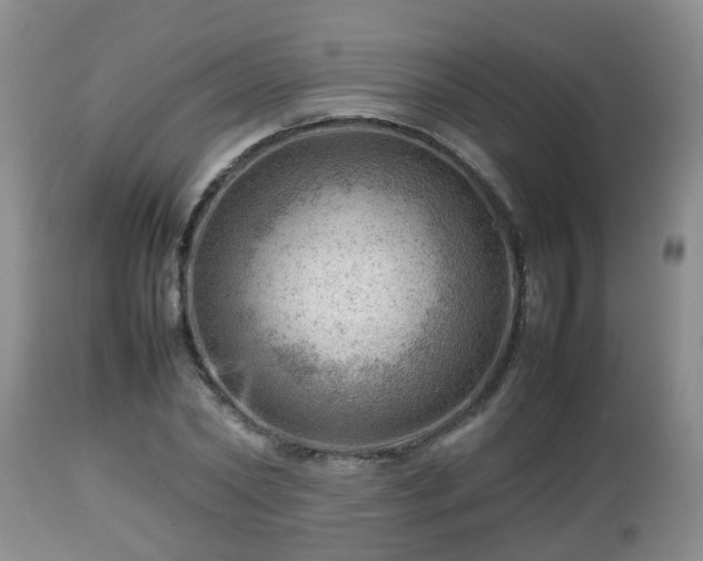 X0000112810782200908281506