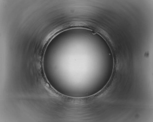 X0000112810786200908281506