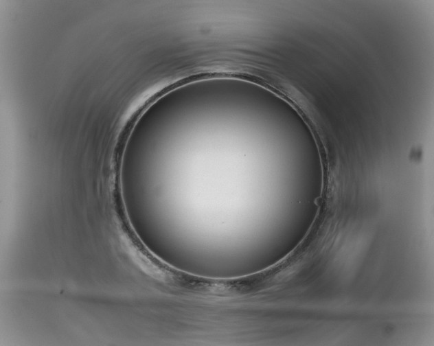 X0000112810787200908281506