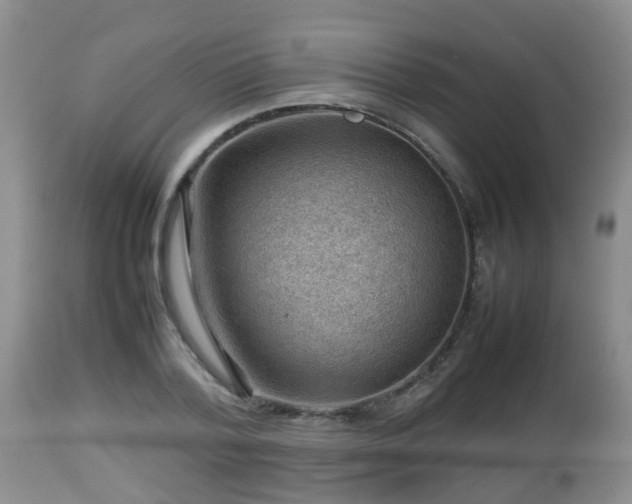 X0000112810788200908281506