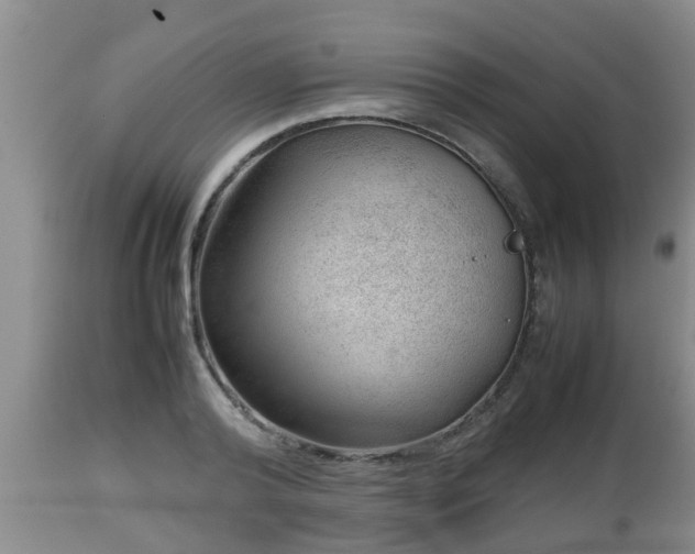 X0000112810792200908281506