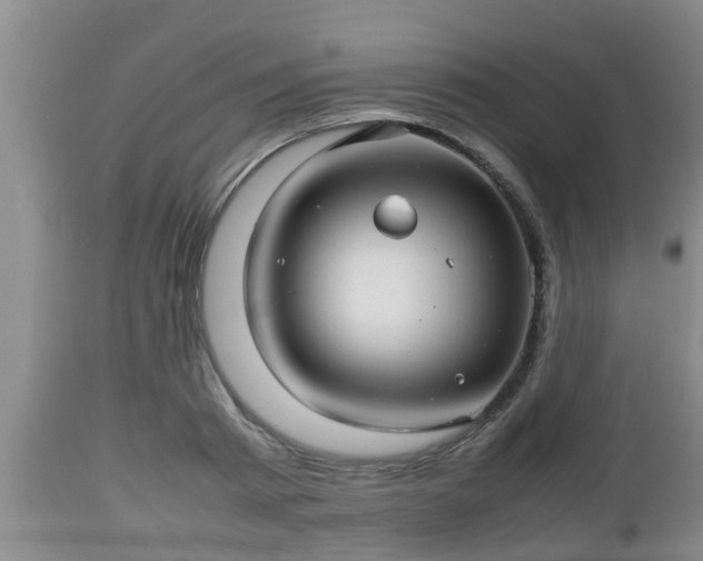 X0000112810793200908281506