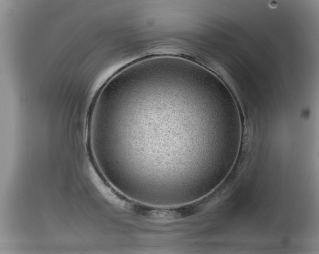 X0000112810795200908281506
