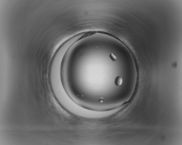 X0000112810797200908281506