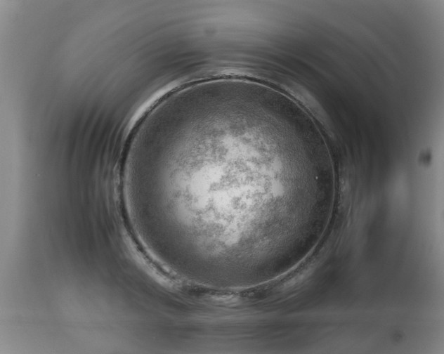 X0000112810798200908281506