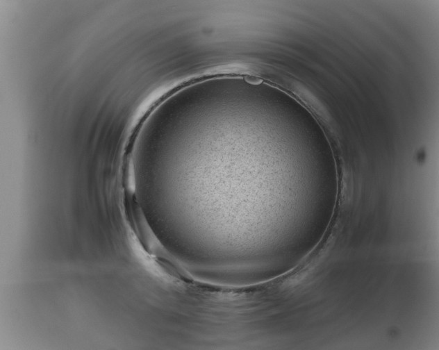 X0000112810800200908281506