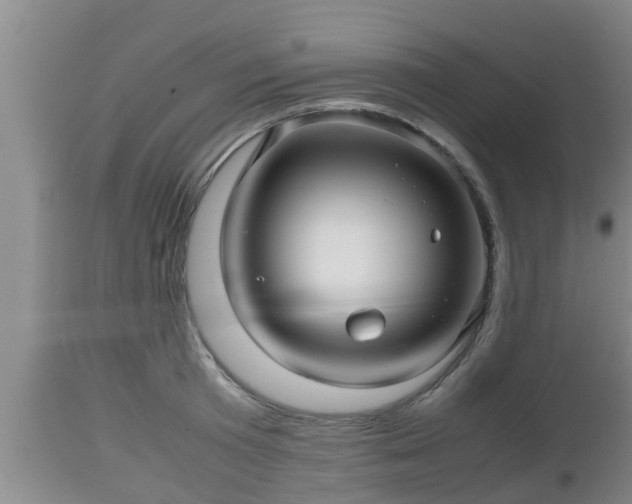 X0000112810801200908281506