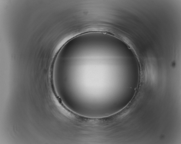 X0000112810803200908281506