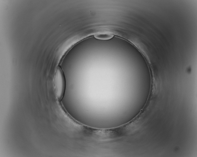 X0000112810805200908281506