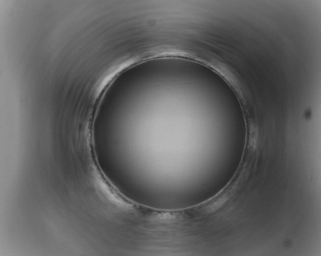 X0000112810806200908281506