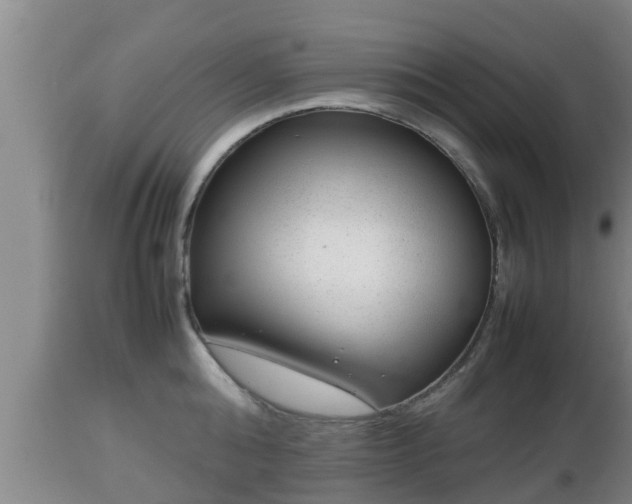 X0000112810808200908281506