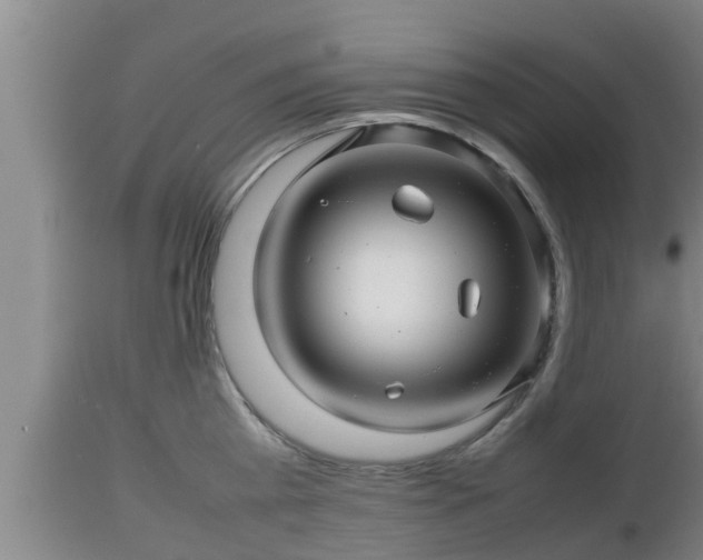 X0000112810809200908281506