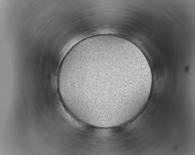 X0000112810810200908281506