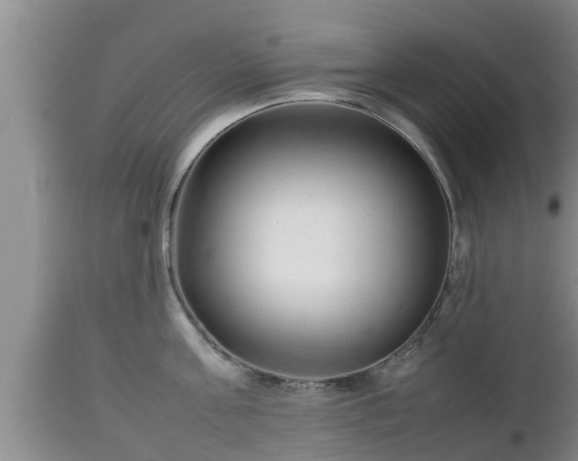X0000112810811200908281506