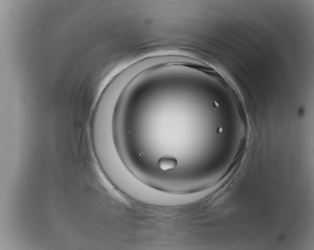 X0000112810813200908281506