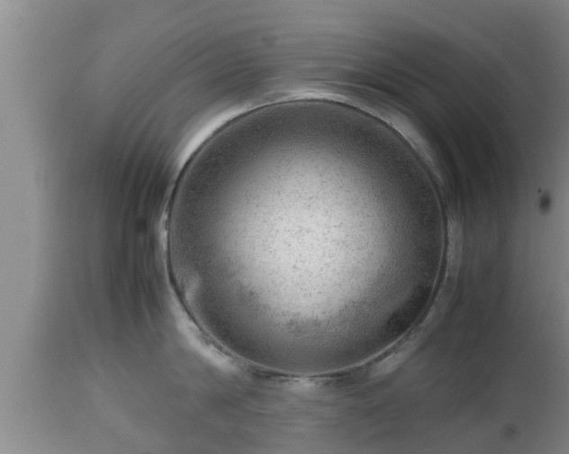 X0000112810814200908281506