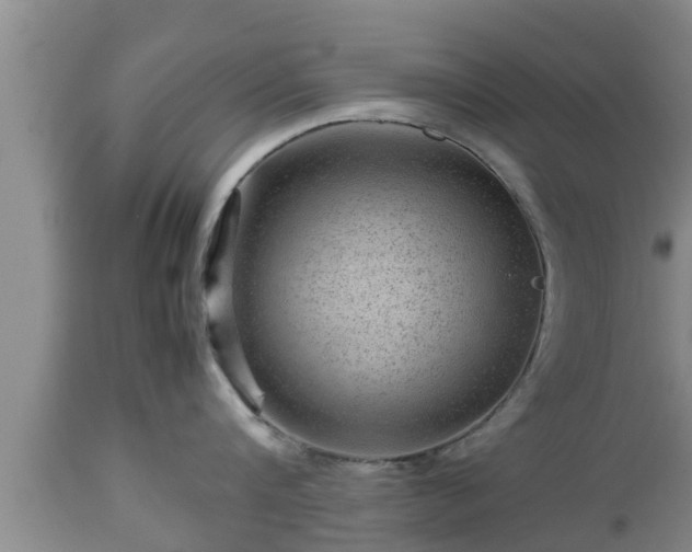 X0000112810816200908281506