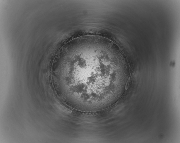 X0000112810817200908281505