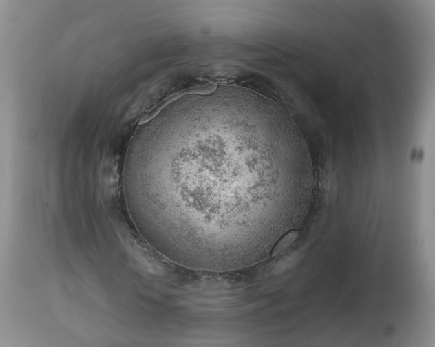 X0000112810818200908281505