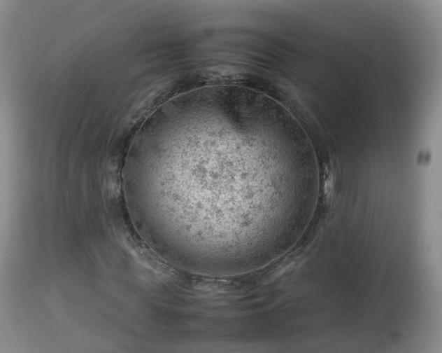X0000112810819200908281505
