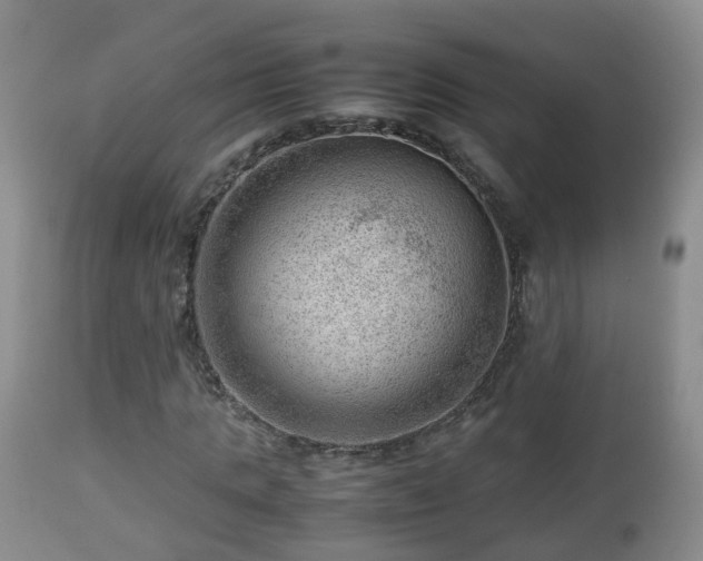 X0000112810821200908281505