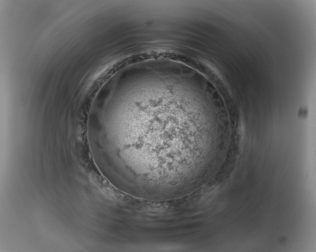 X0000112810823200908281505