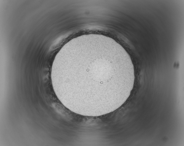 X0000112810824200908281505