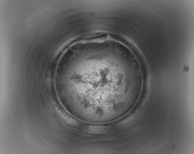 X0000112810825200908281505