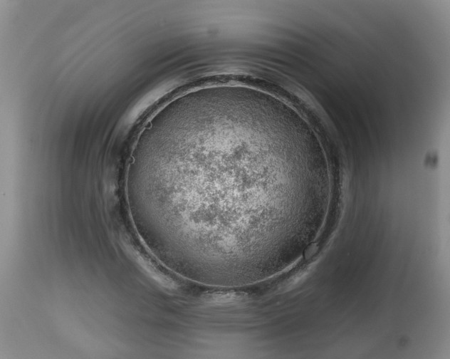 X0000112810826200908281505