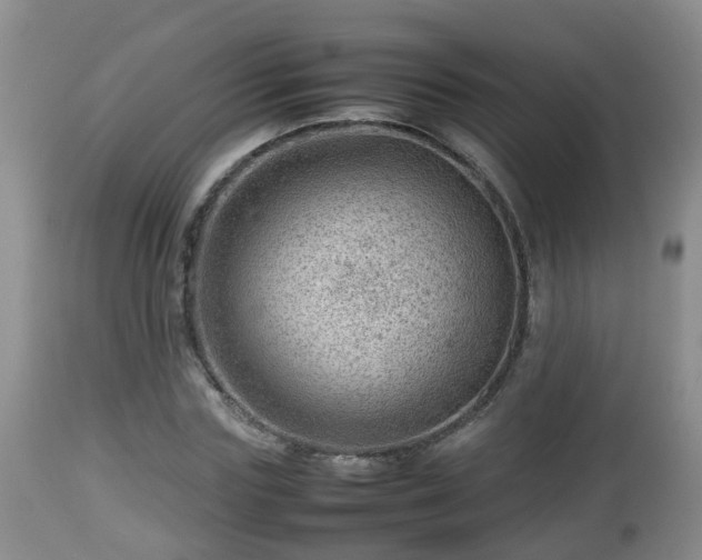 X0000112810827200908281505
