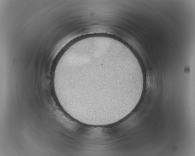 X0000112810828200908281505