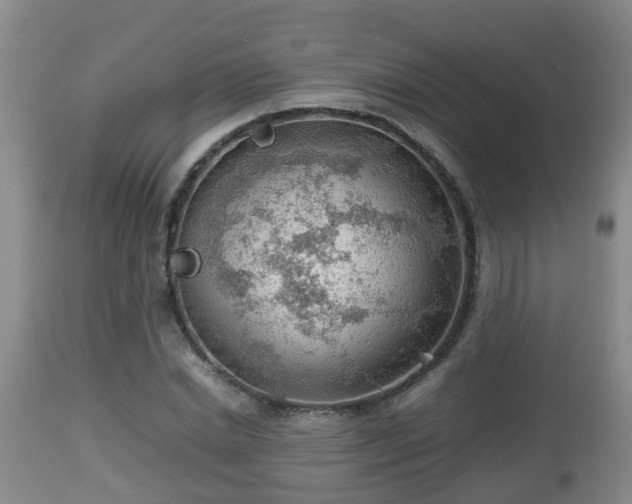 X0000112810830200908281505