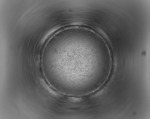 X0000112810831200908281505