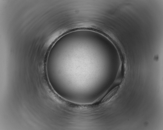 X0000112810834200908281505